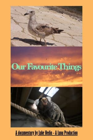 Our Favourite Things