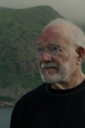 Chão Verde de Pássaros Escritos