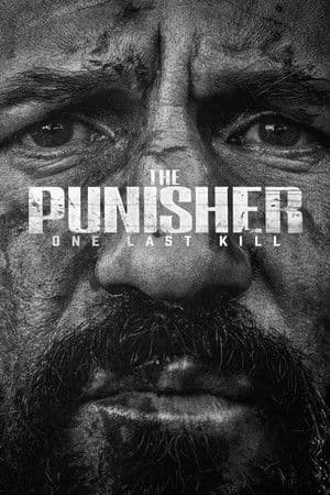 The Punisher: One Last Kill
