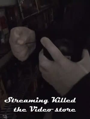 Streaming Killed the Video Store*
