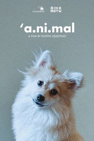 'a.ni.mal