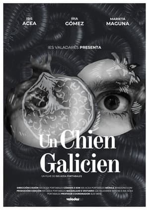 Un chien galicien