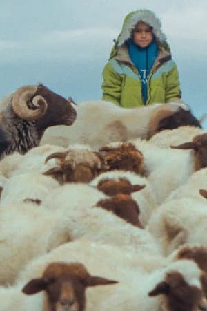 The Price of the Sun