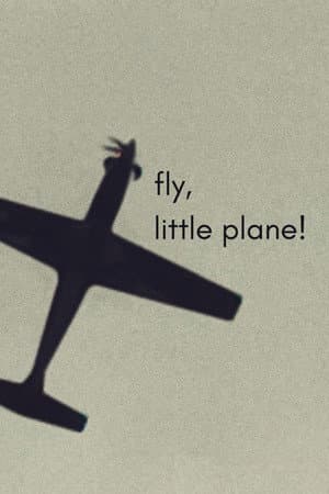fly, little plane!